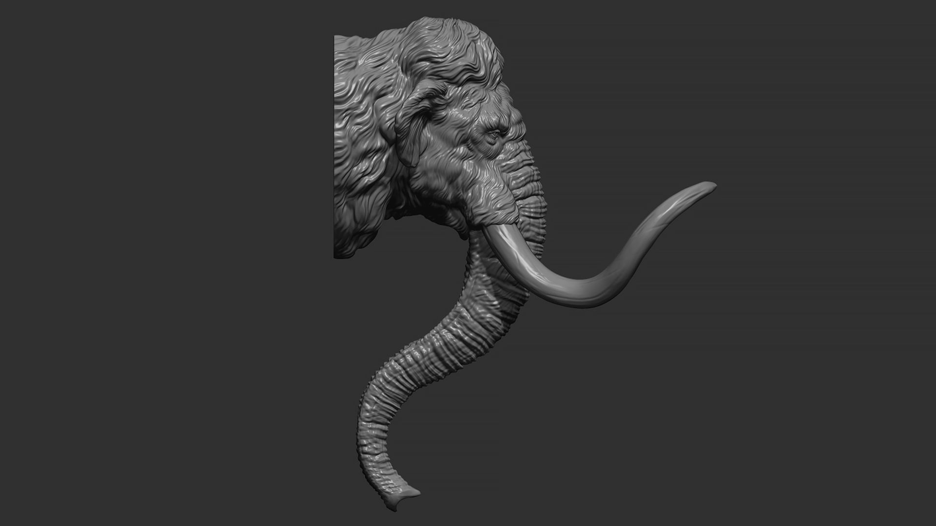 Mammoth head 3D print model_10
