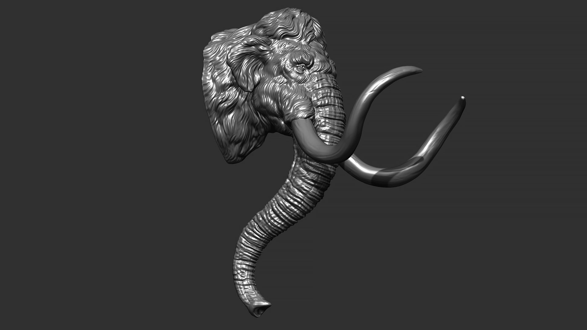 Mammoth head 3D print model_3