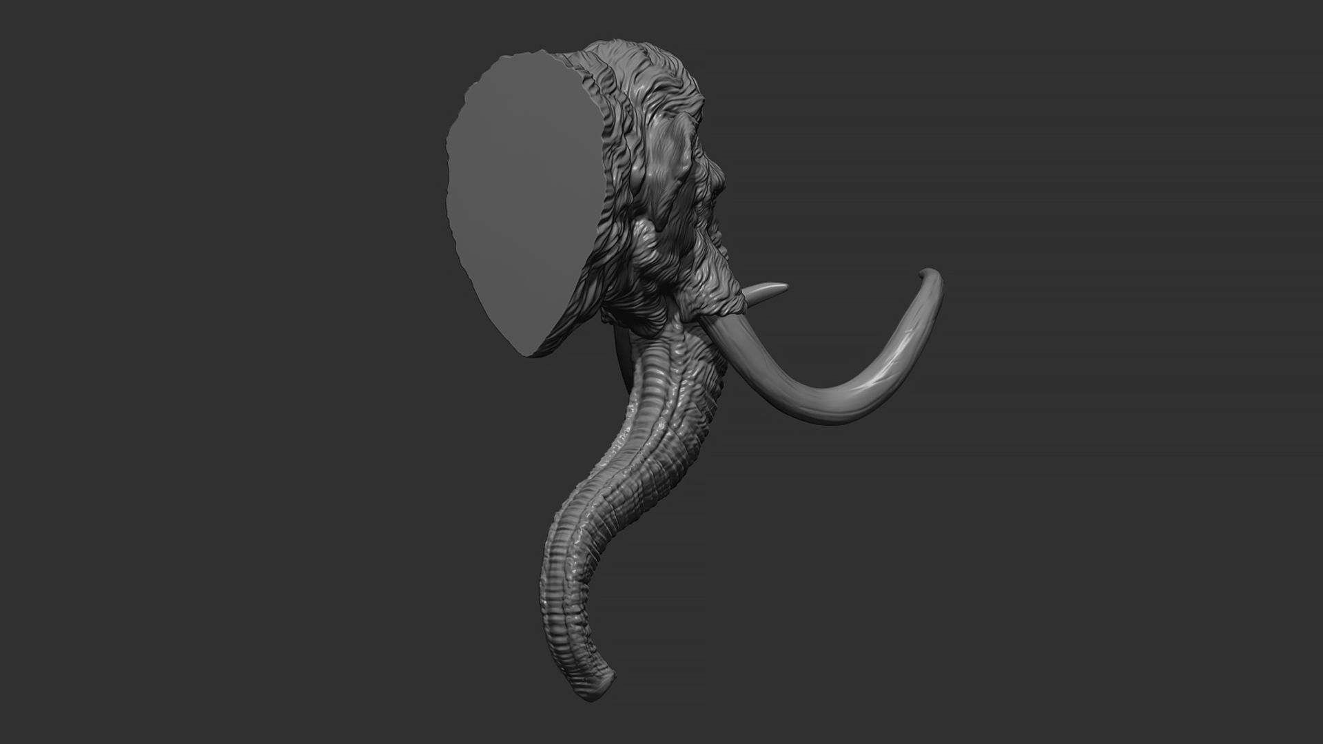 Mammoth head 3D print model_11