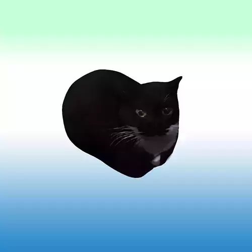Maxwell The Cat Low-poly 3D model