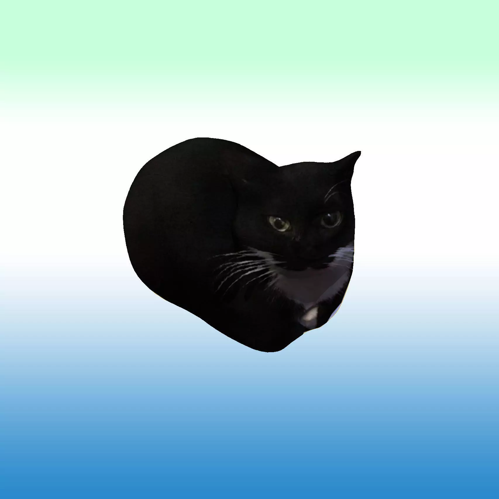 Maxwell The Cat Low-poly 3D model_0