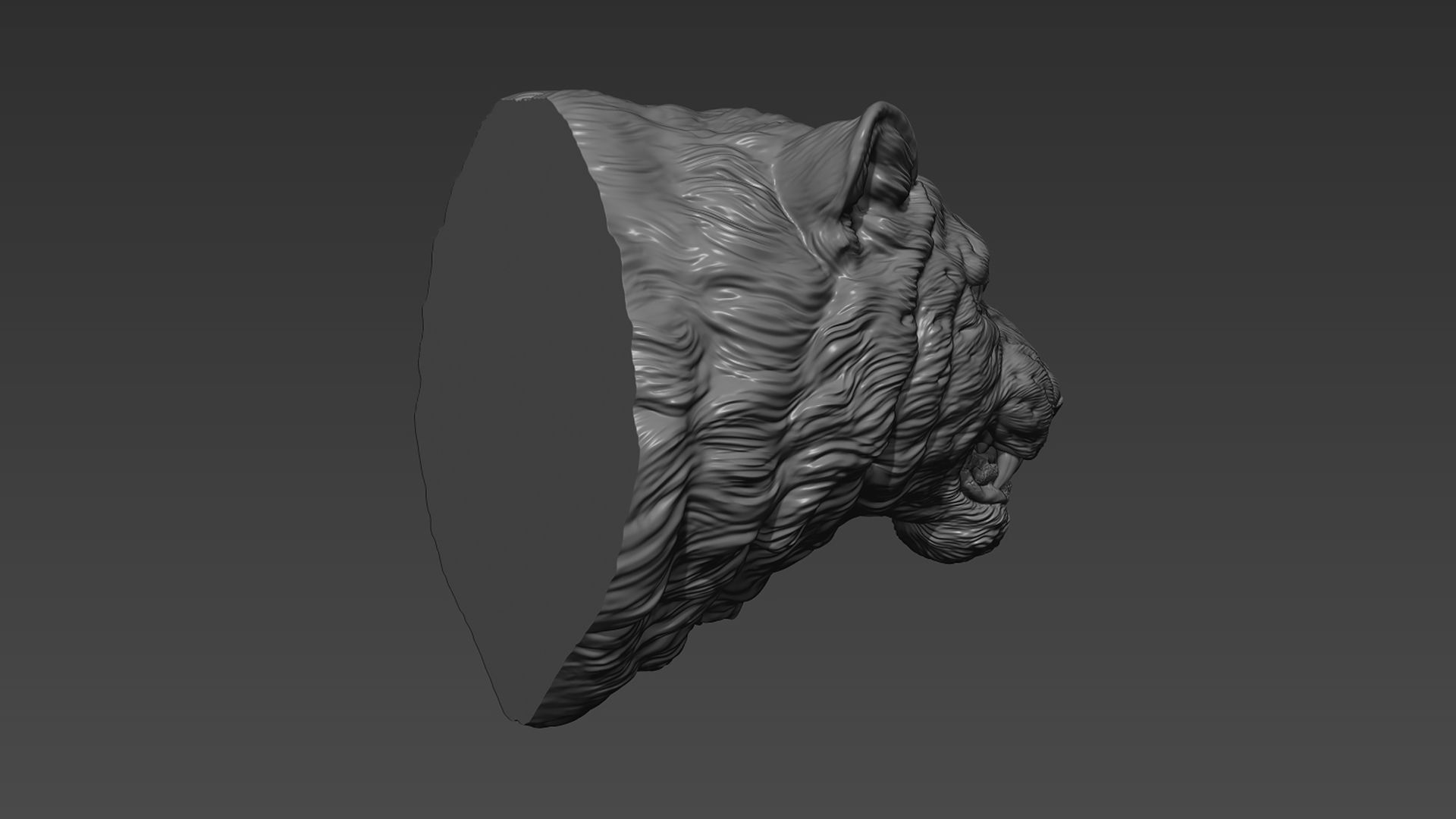 Snow leopard grin 3D print model_2