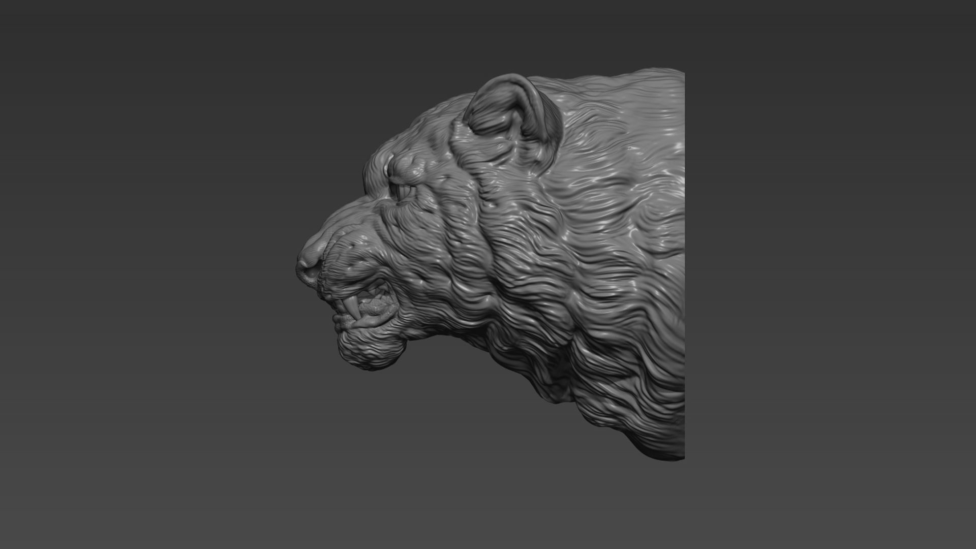 Snow leopard grin 3D print model_10