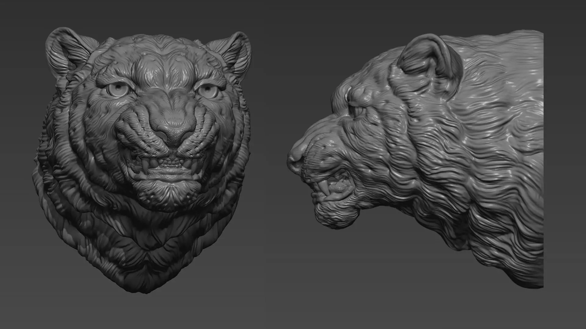 Snow leopard grin 3D print model_0