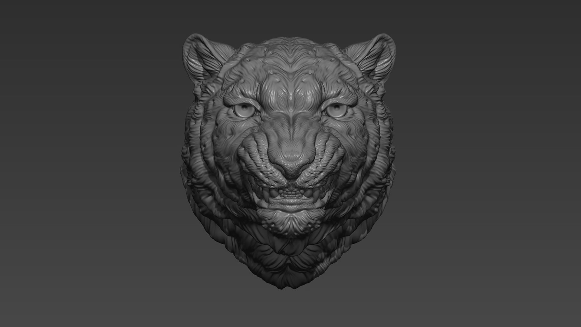 Snow leopard grin 3D print model_9