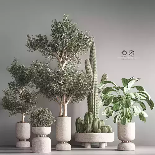 indoor plant set 26