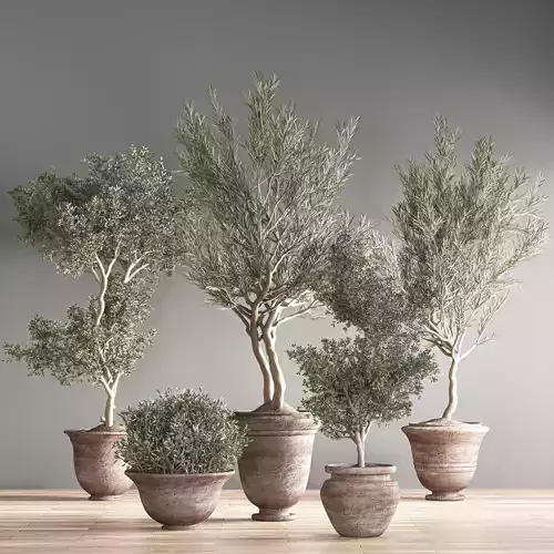 indoor plant set 28