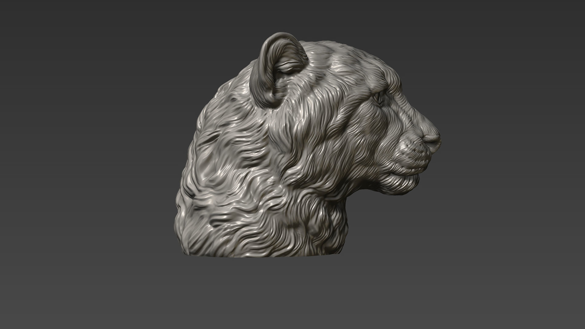 Cheetah head bust 3D print model_16