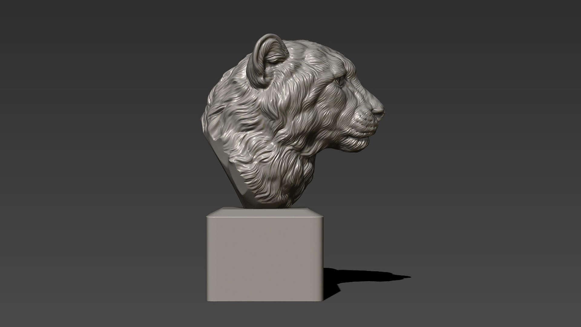 Cheetah head bust 3D print model_7