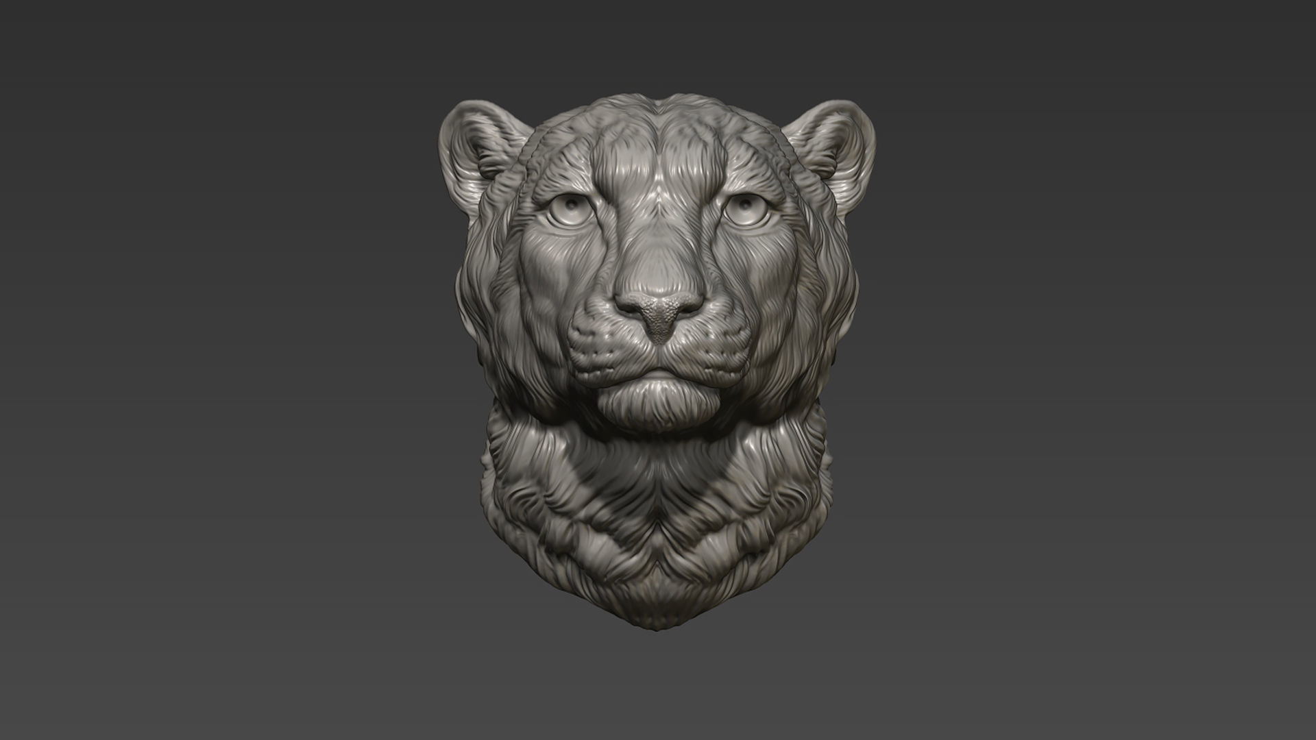 Cheetah head bust 3D print model_12