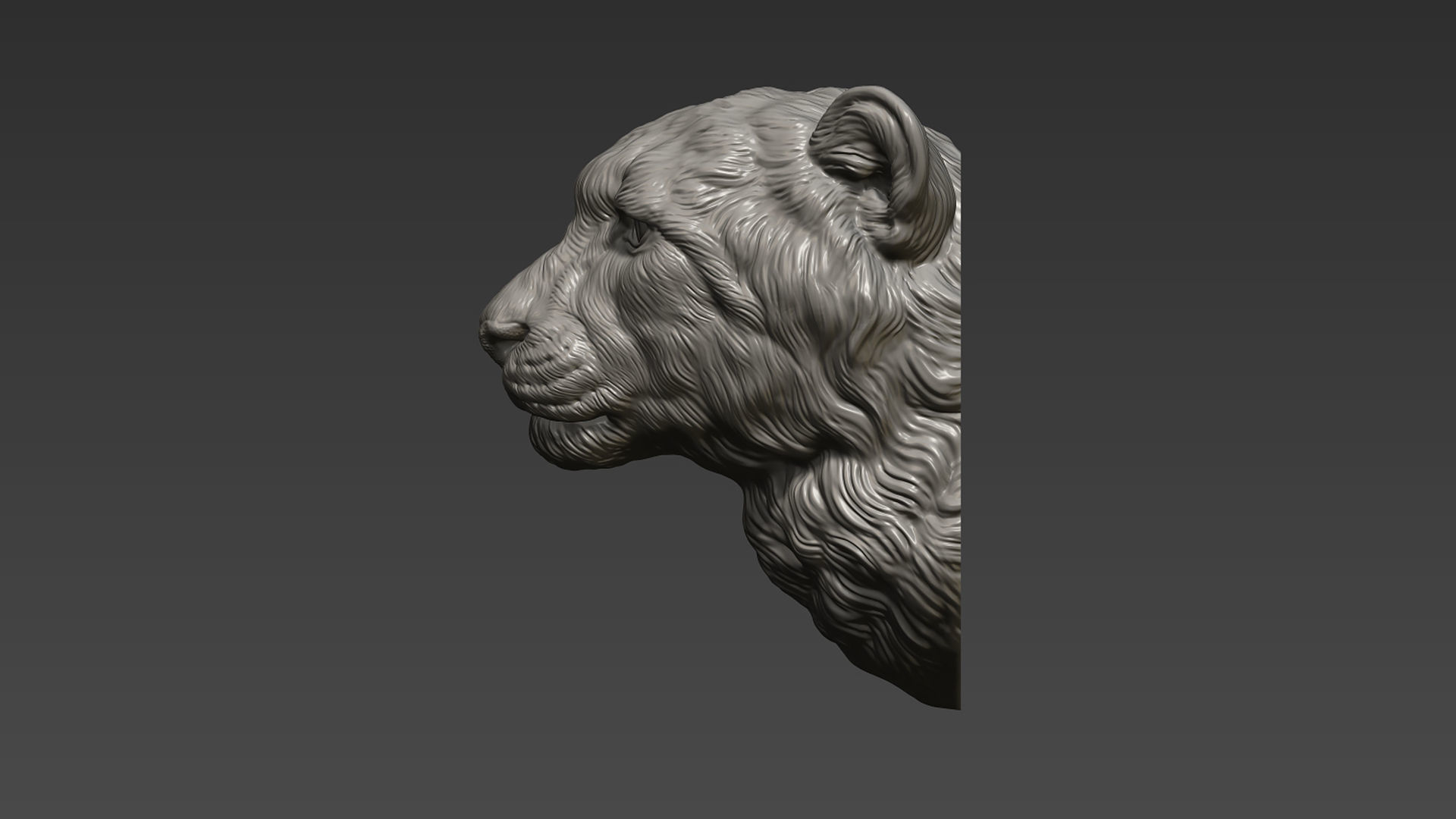 Cheetah head bust 3D print model_10