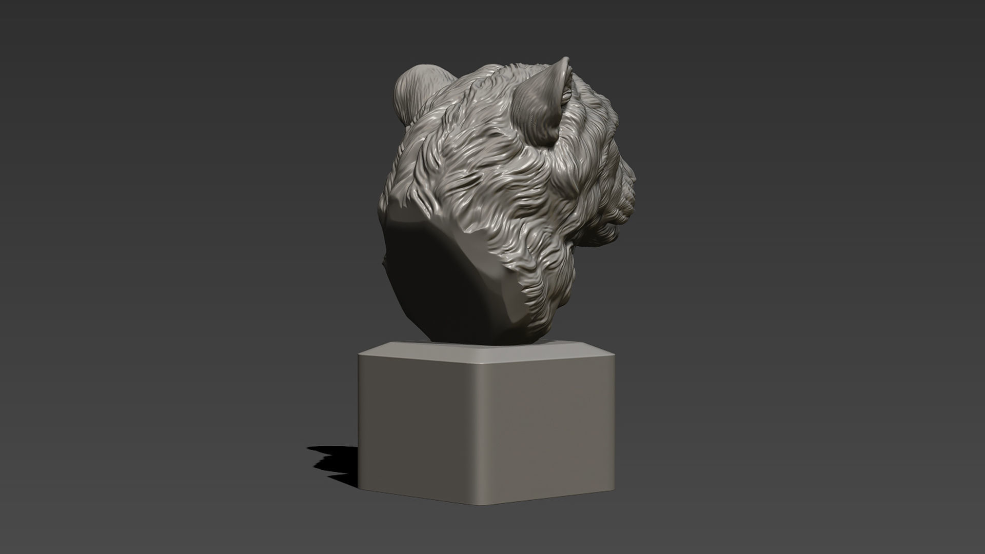 Cheetah head bust 3D print model_9