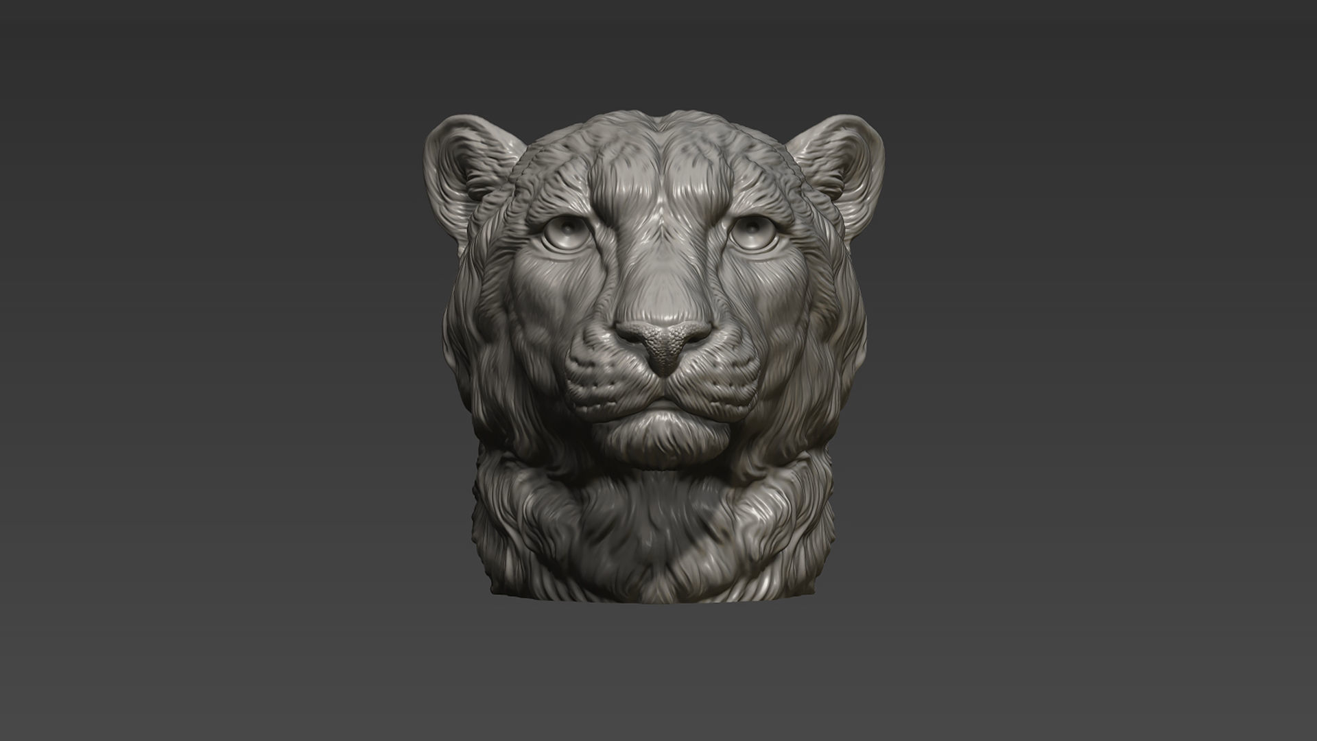 Cheetah head bust 3D print model_15