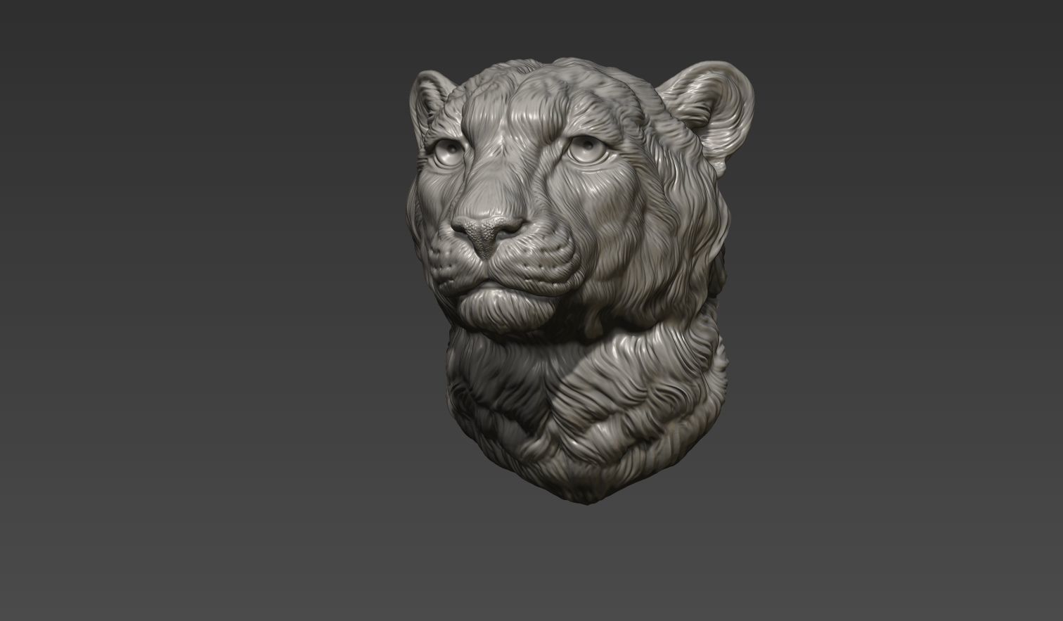 Cheetah head bust 3D print model_13