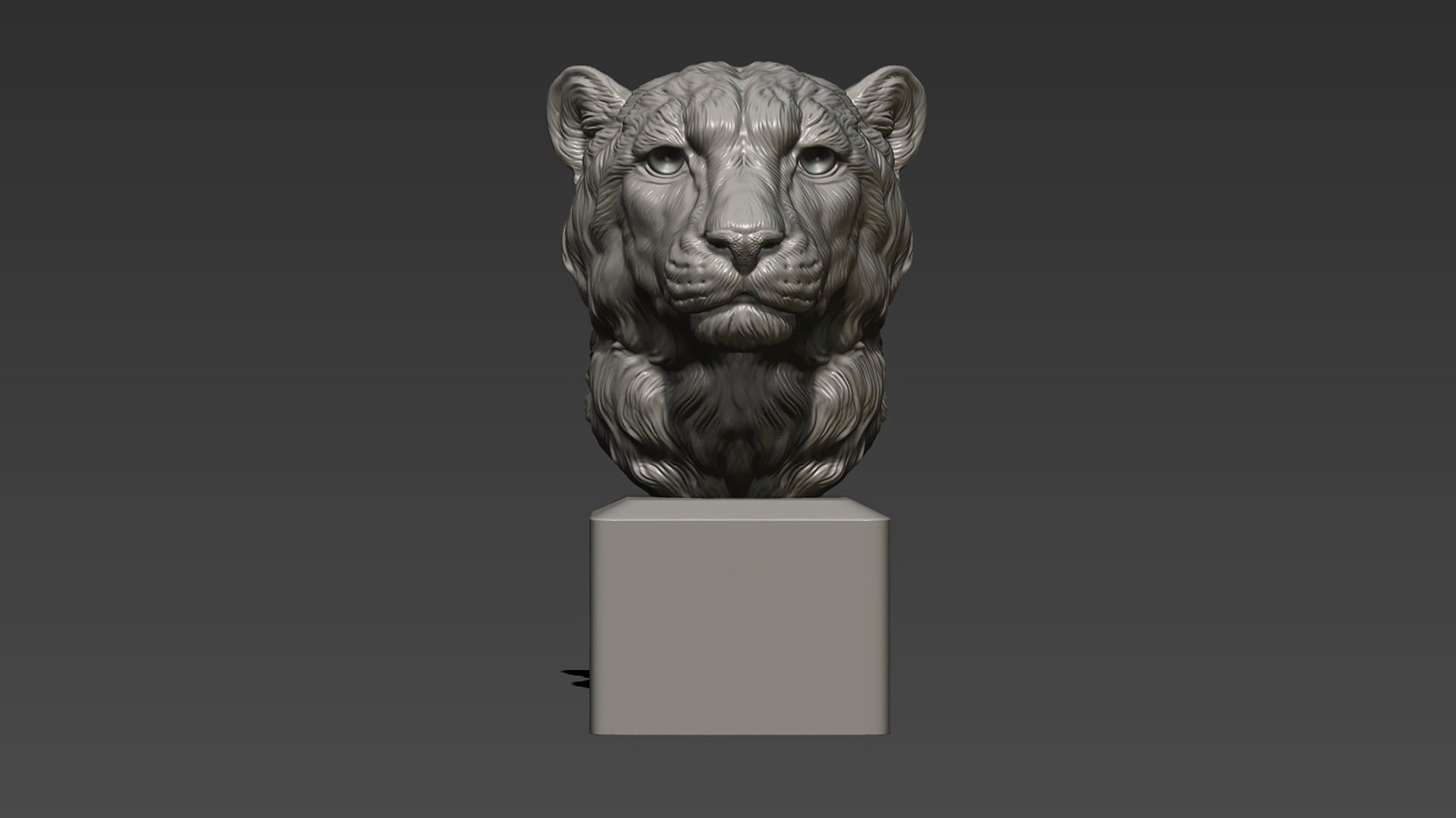Cheetah head bust 3D print model_4
