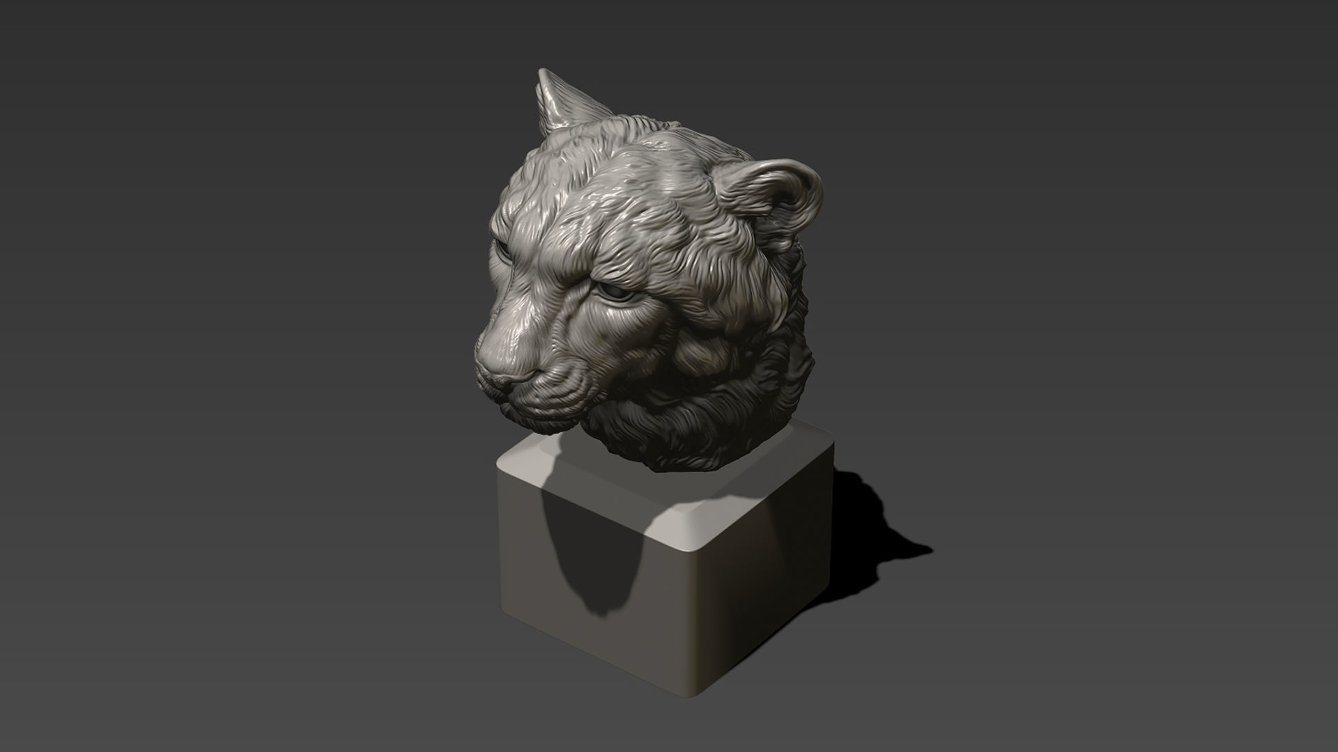 Cheetah head bust 3D print model_1