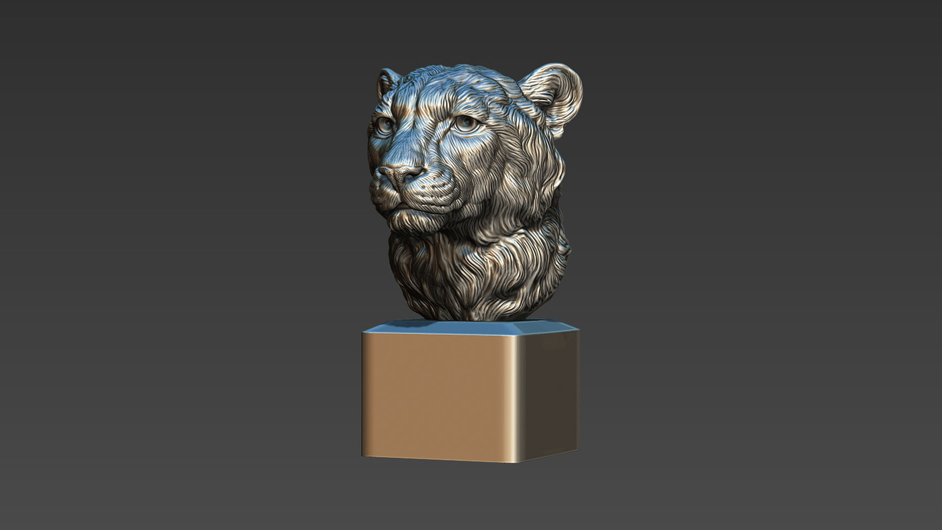 Cheetah head bust 3D print model_18