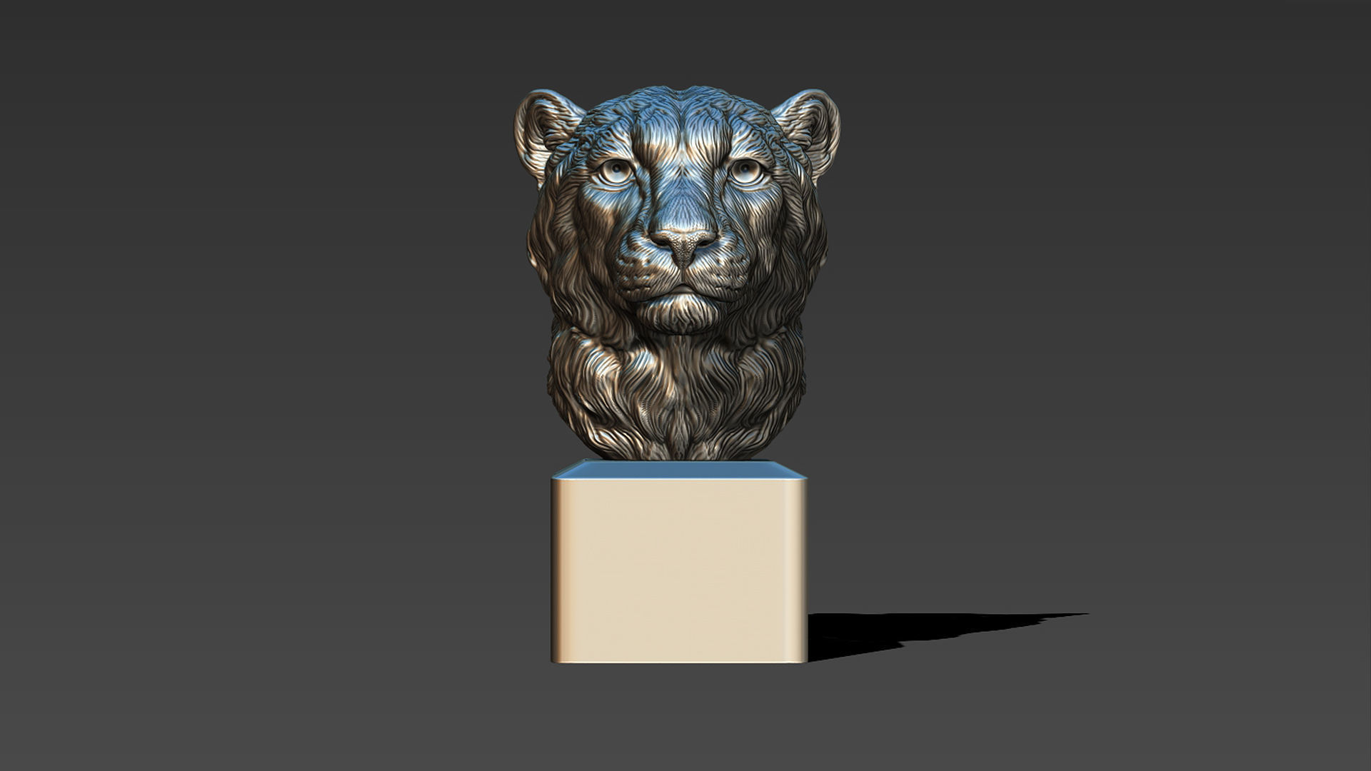 Cheetah head bust 3D print model_19