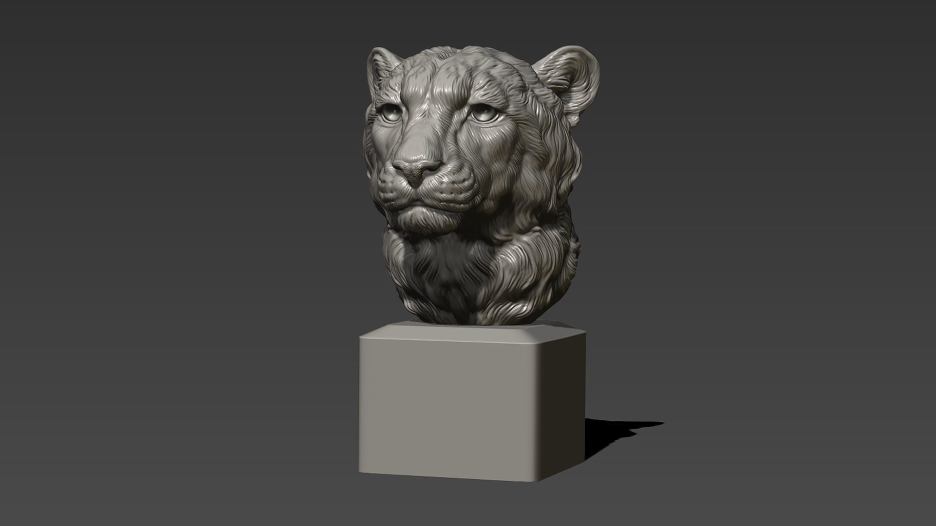 Cheetah head bust 3D print model_6