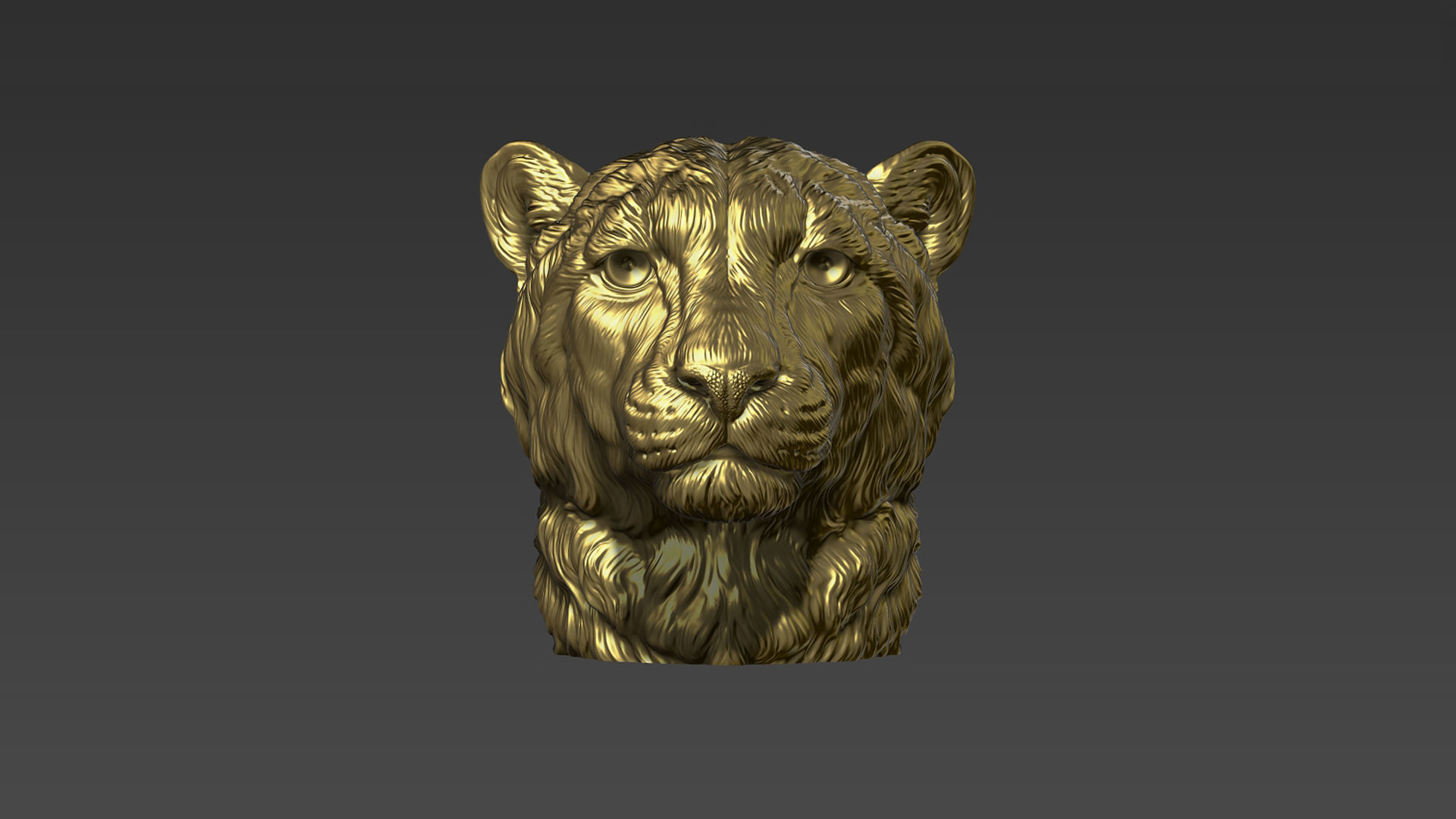 Cheetah head bust 3D print model_21