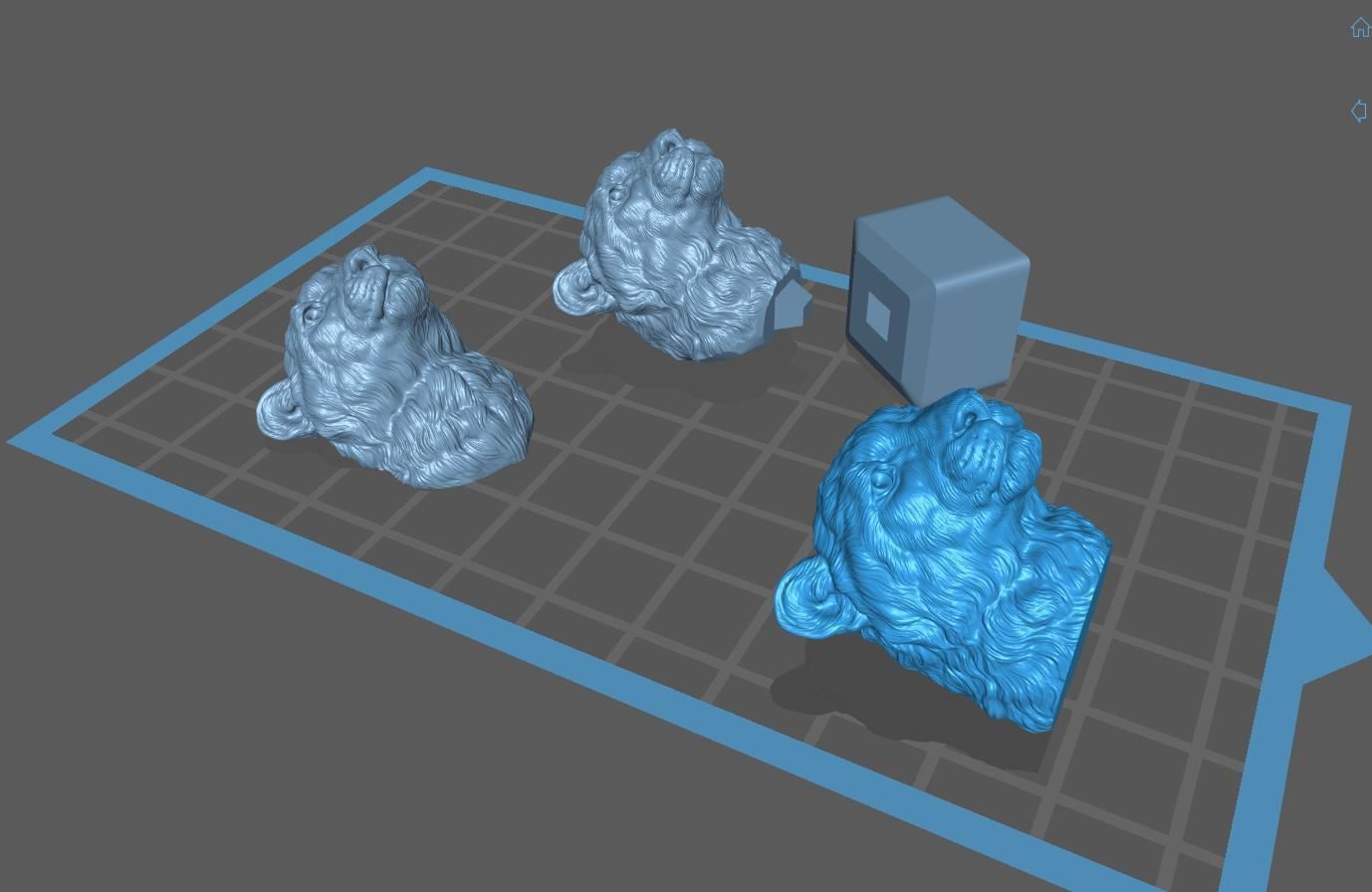 Cheetah head bust 3D print model_24