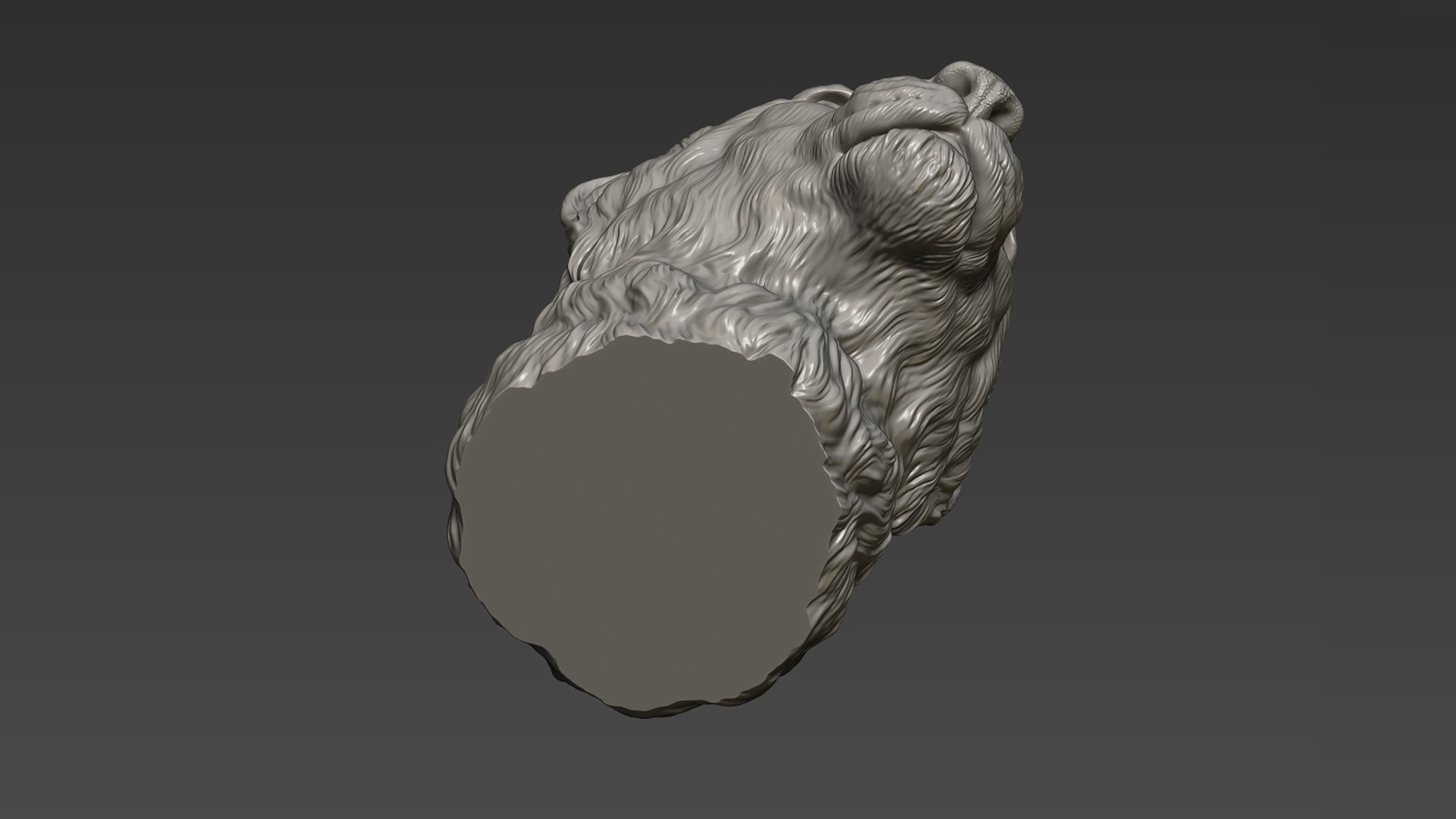 Cheetah head bust 3D print model_17