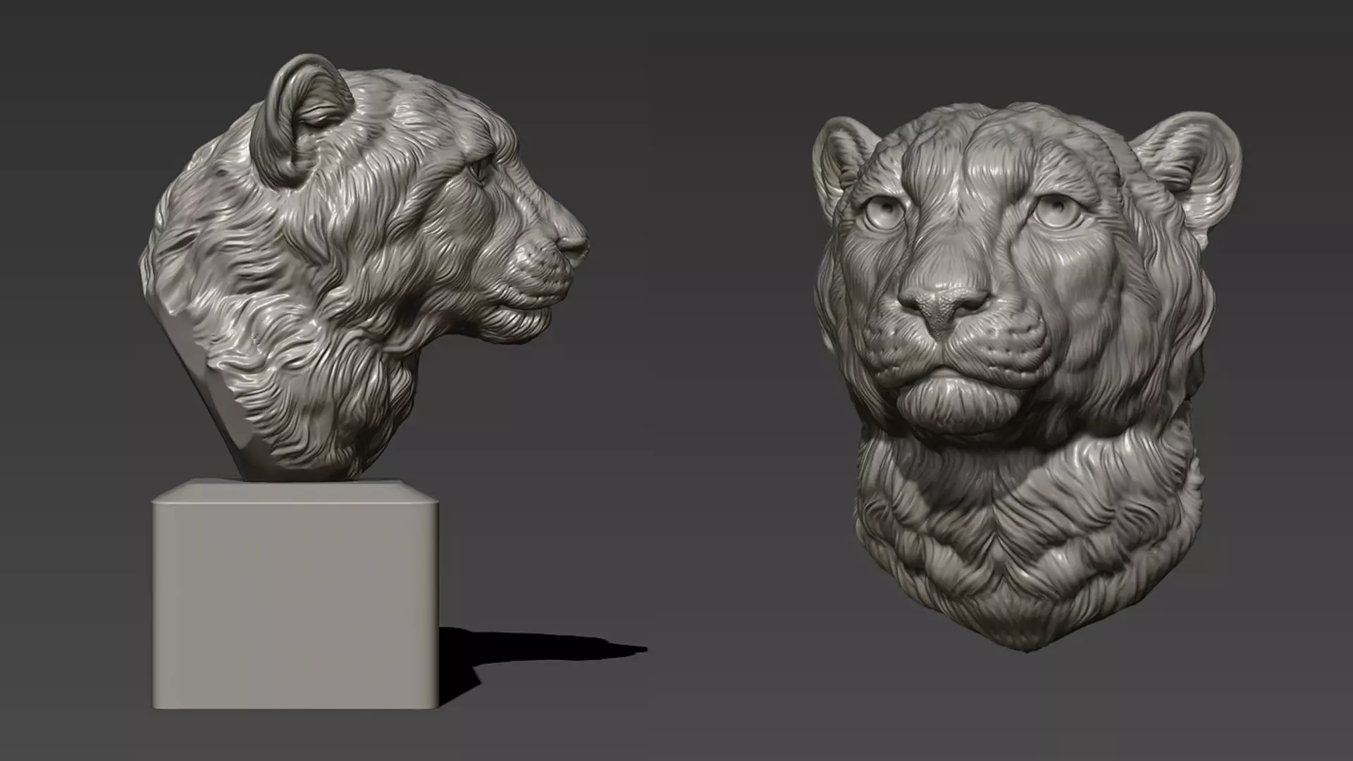 Cheetah head bust 3D print model_0