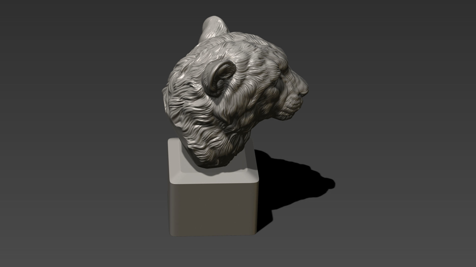 Cheetah head bust 3D print model_2