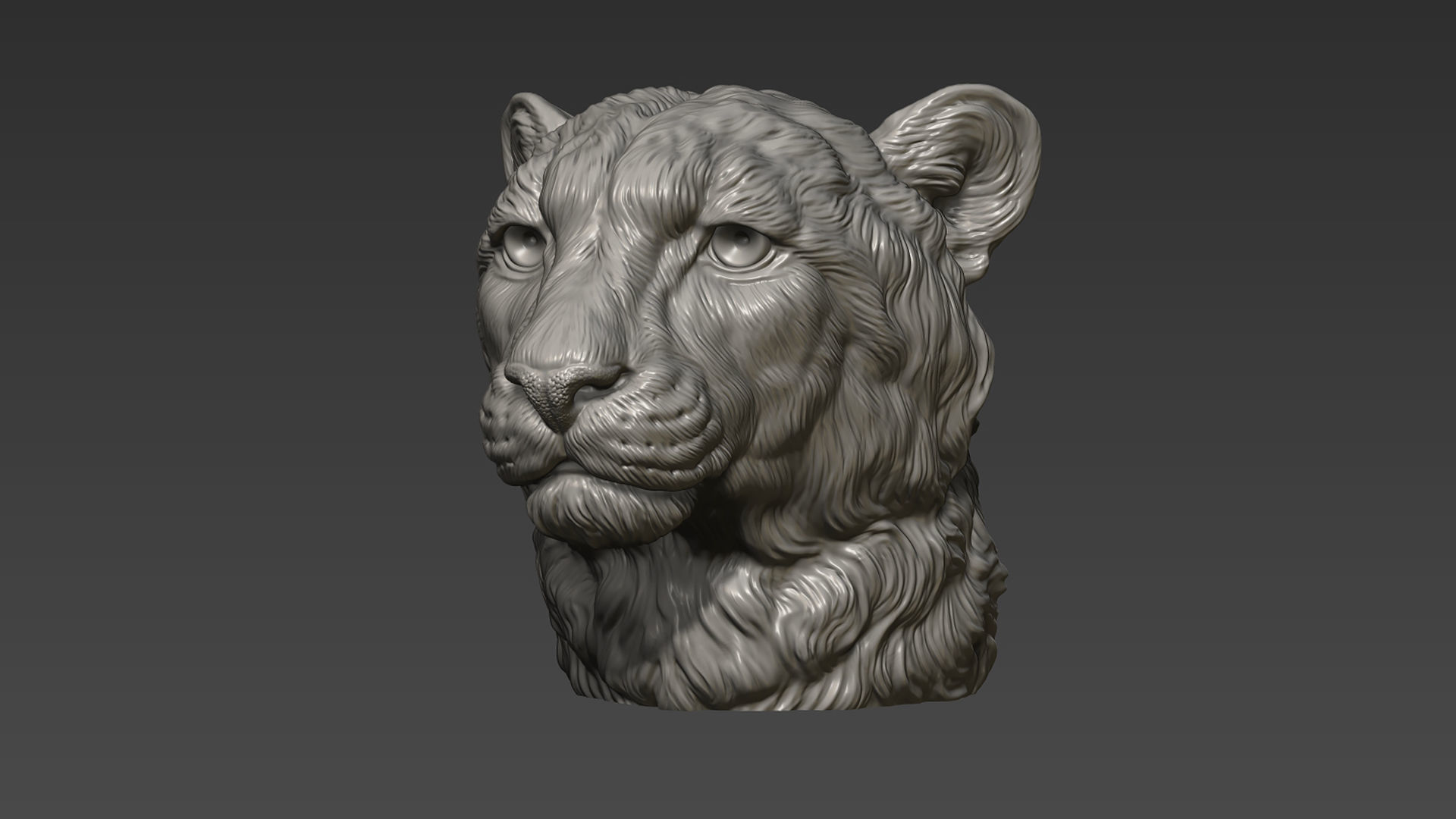 Cheetah head bust 3D print model_14