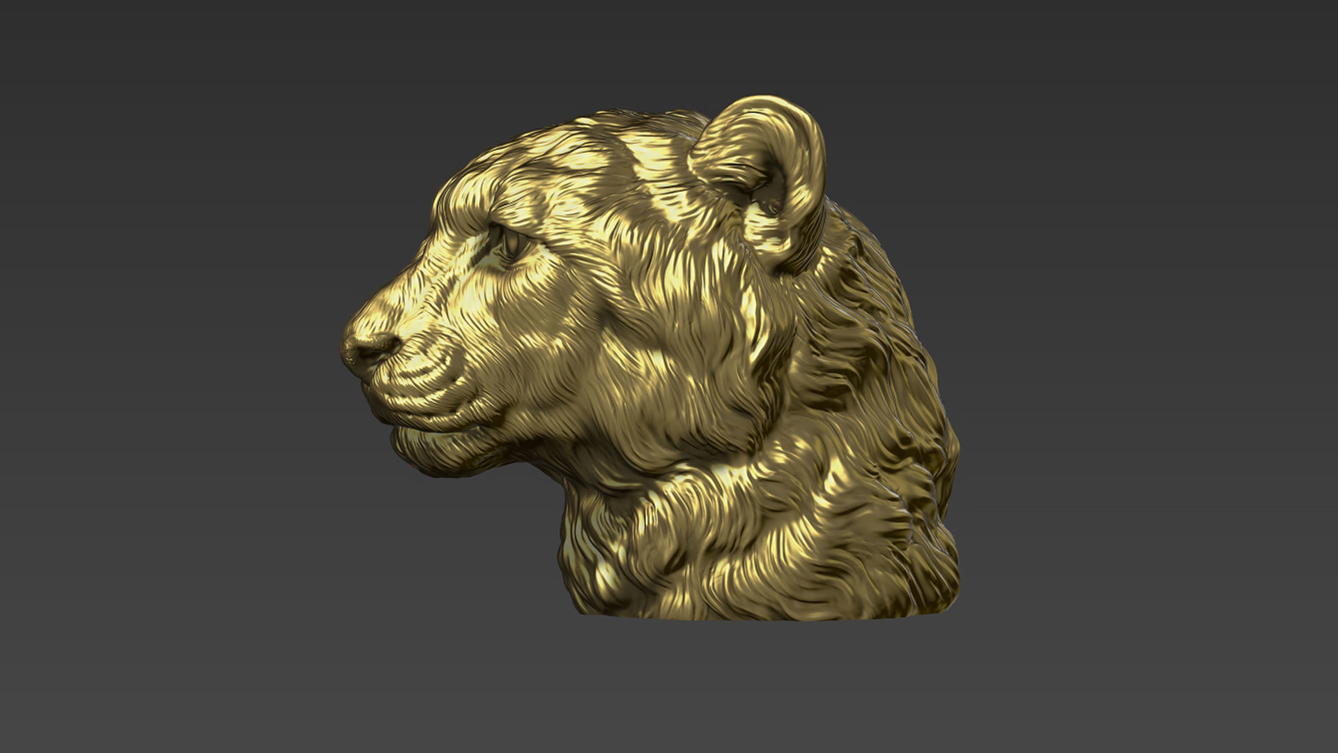Cheetah head bust 3D print model_22