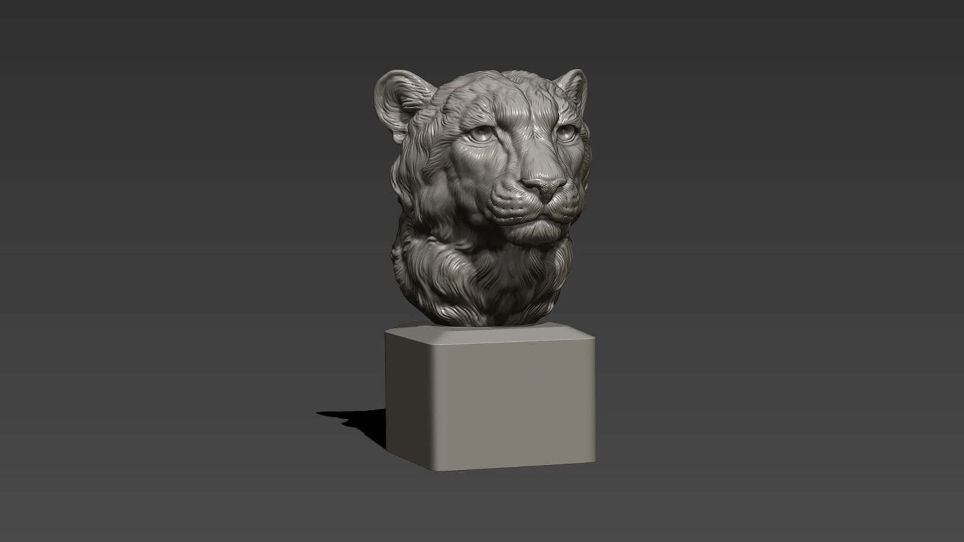 Cheetah head bust 3D print model_3
