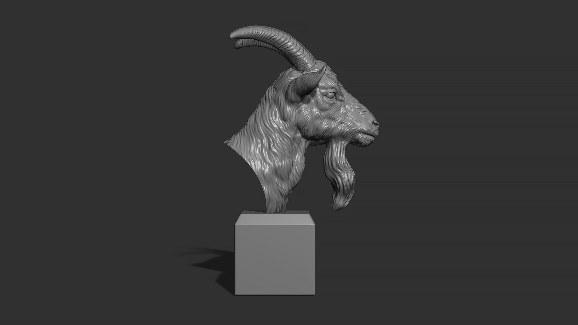 Goat head bust 3D print model_16