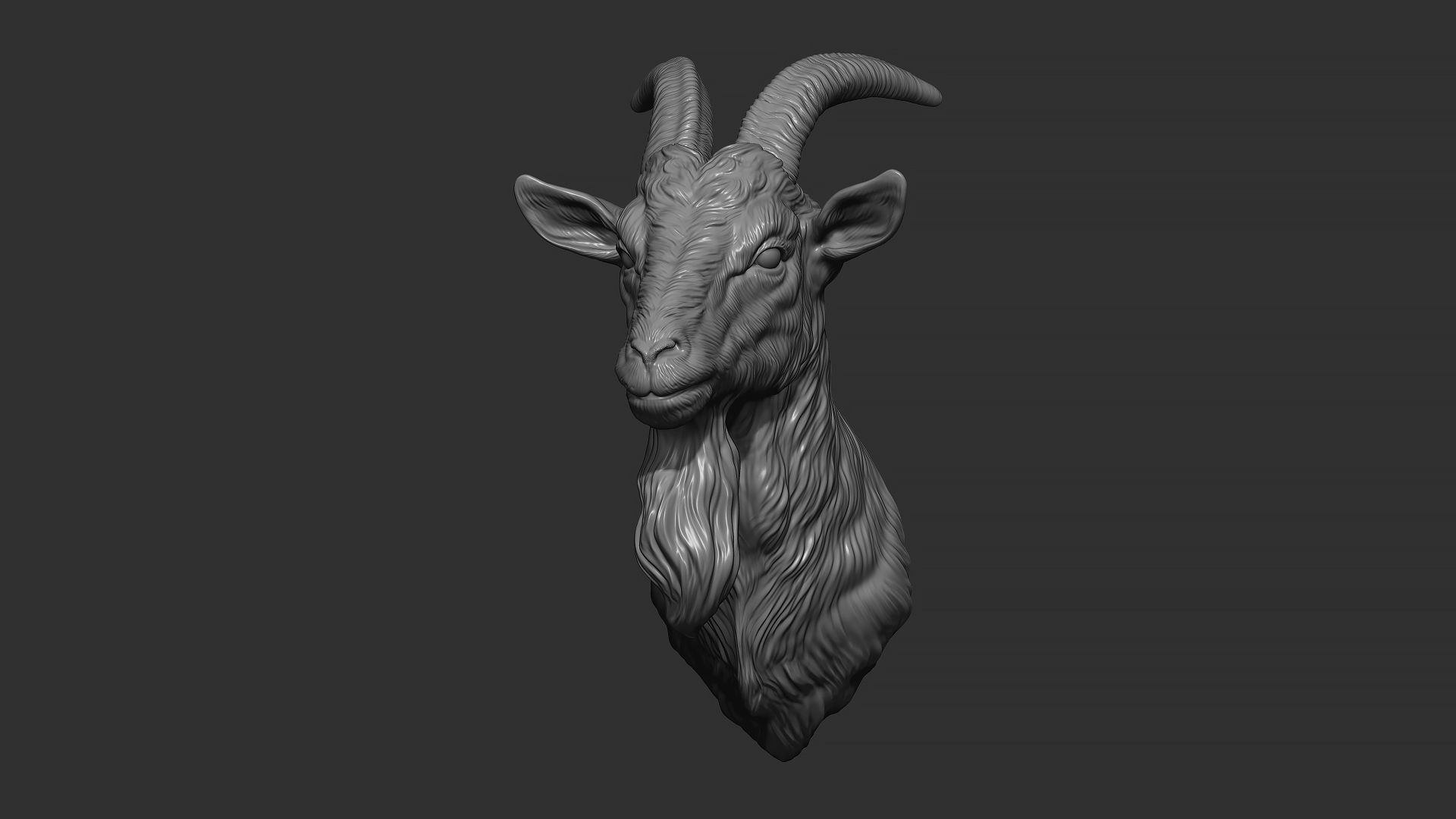 Goat head bust 3D print model_8