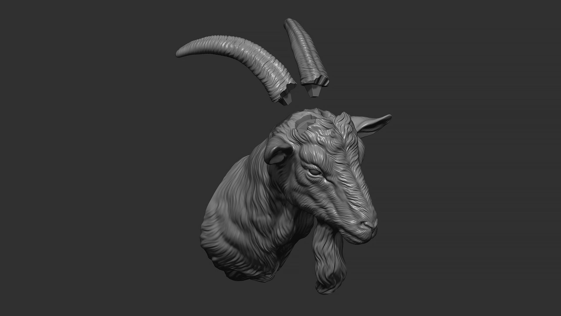 Goat head bust 3D print model_11