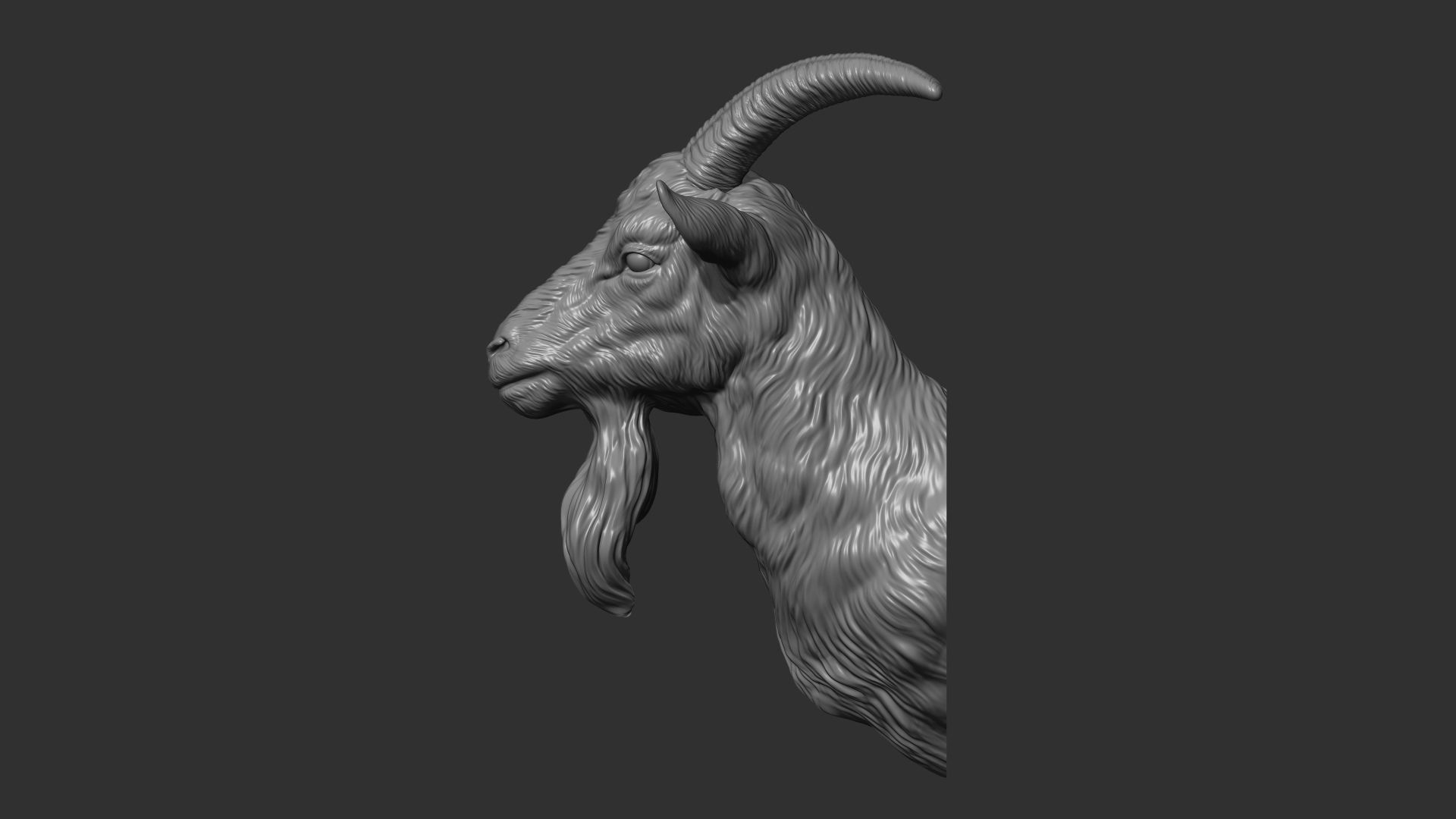 Goat head bust 3D print model_5