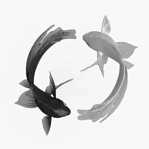 Yin Yang Black White