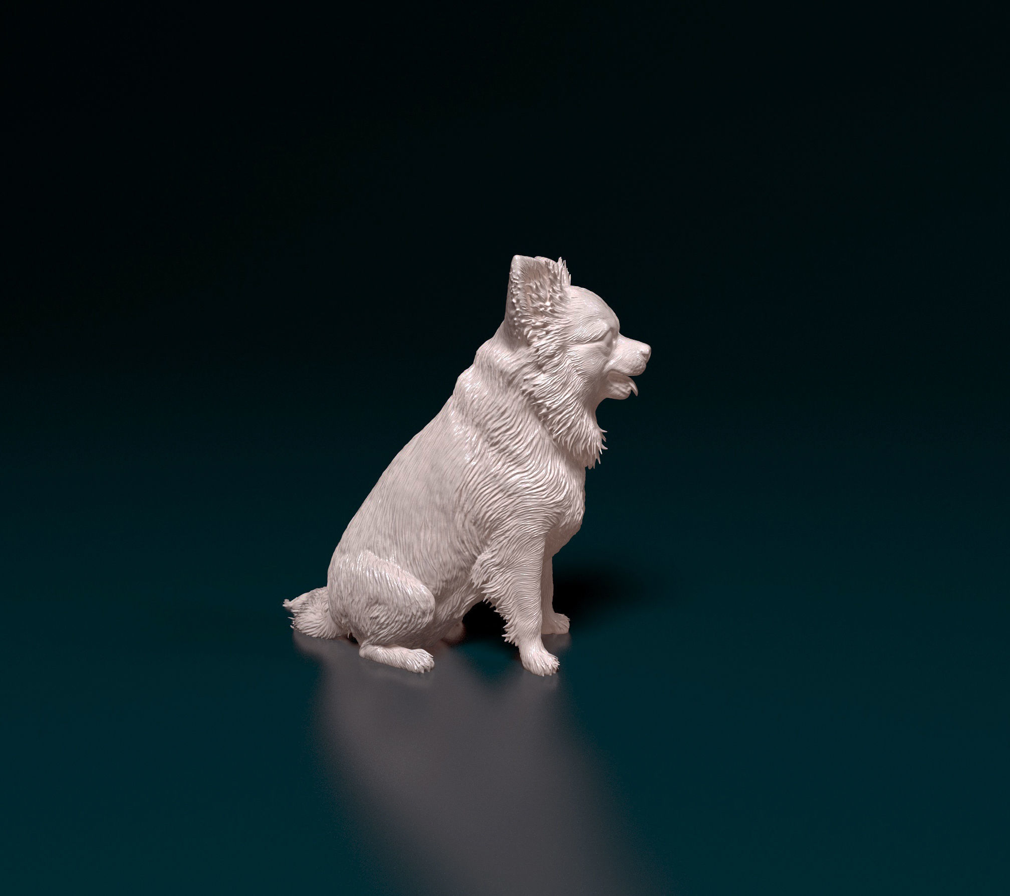 Chihuahua long haired 4 3D print model_1