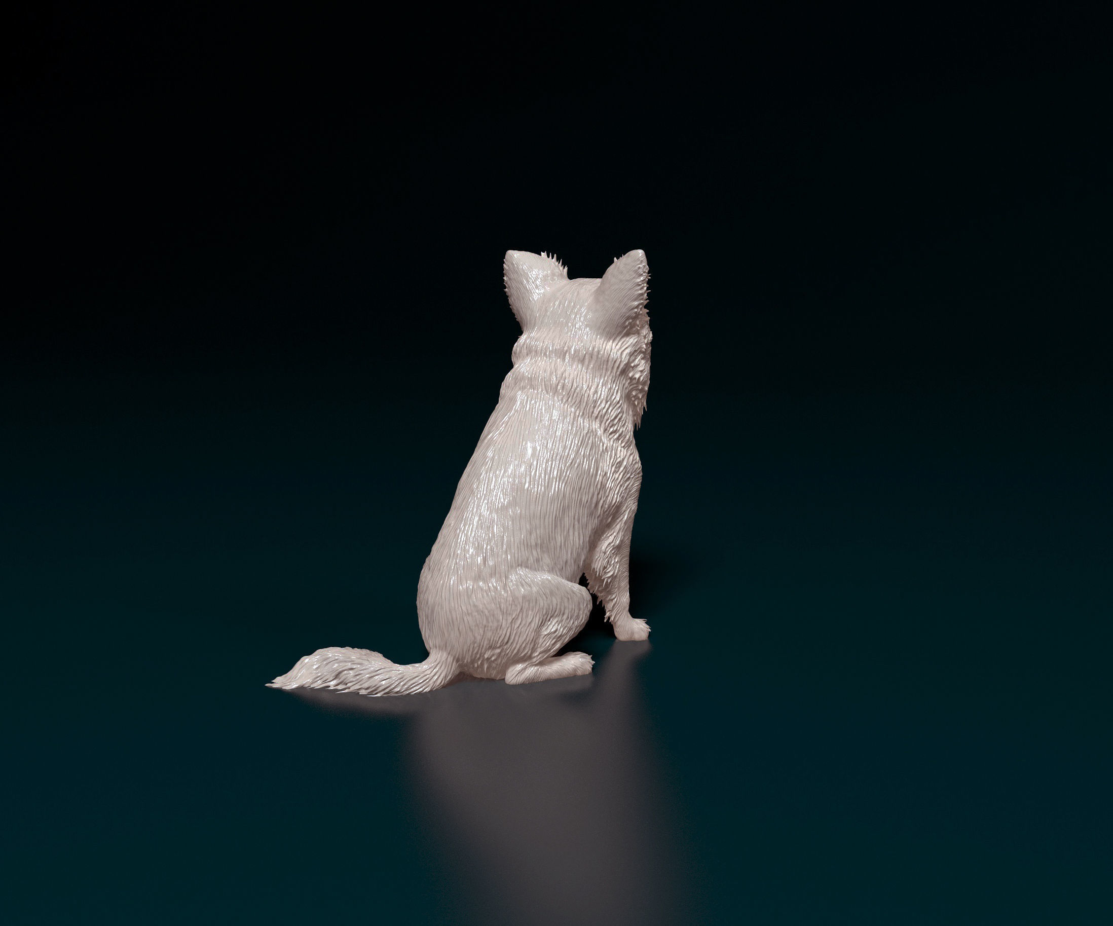 Chihuahua long haired 4 3D print model_2