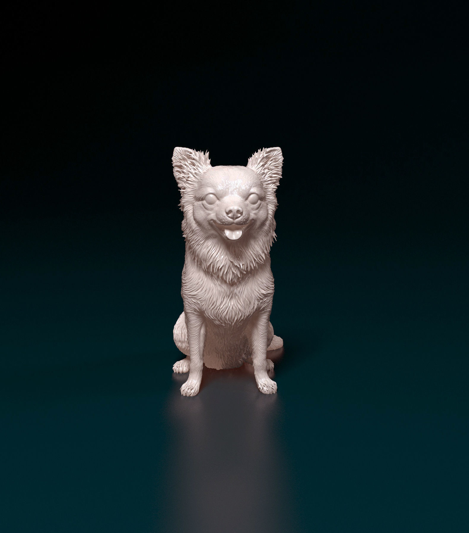 Chihuahua long haired 4 3D print model_5