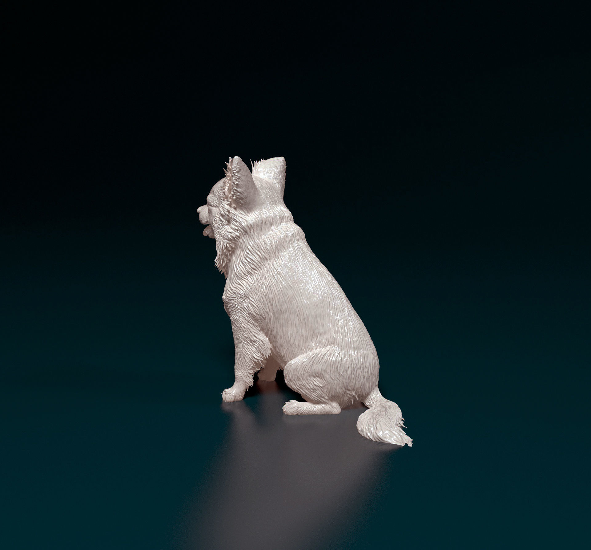 Chihuahua long haired 4 3D print model_3