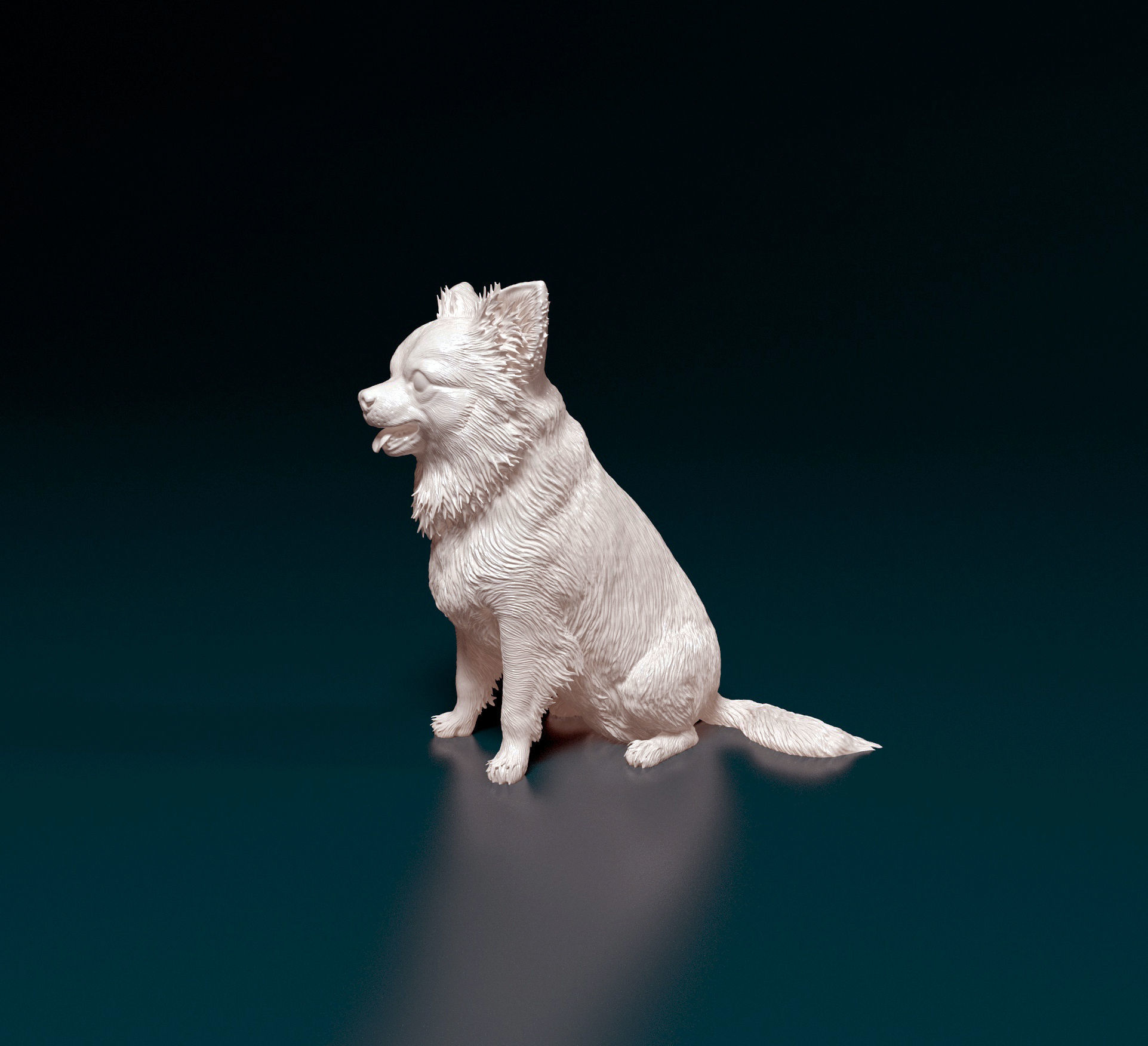 Chihuahua long haired 4 3D print model_4