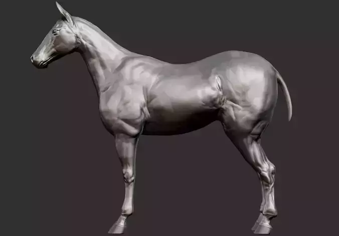 Realistic Horse Hi-Rez base-mesh 3D model