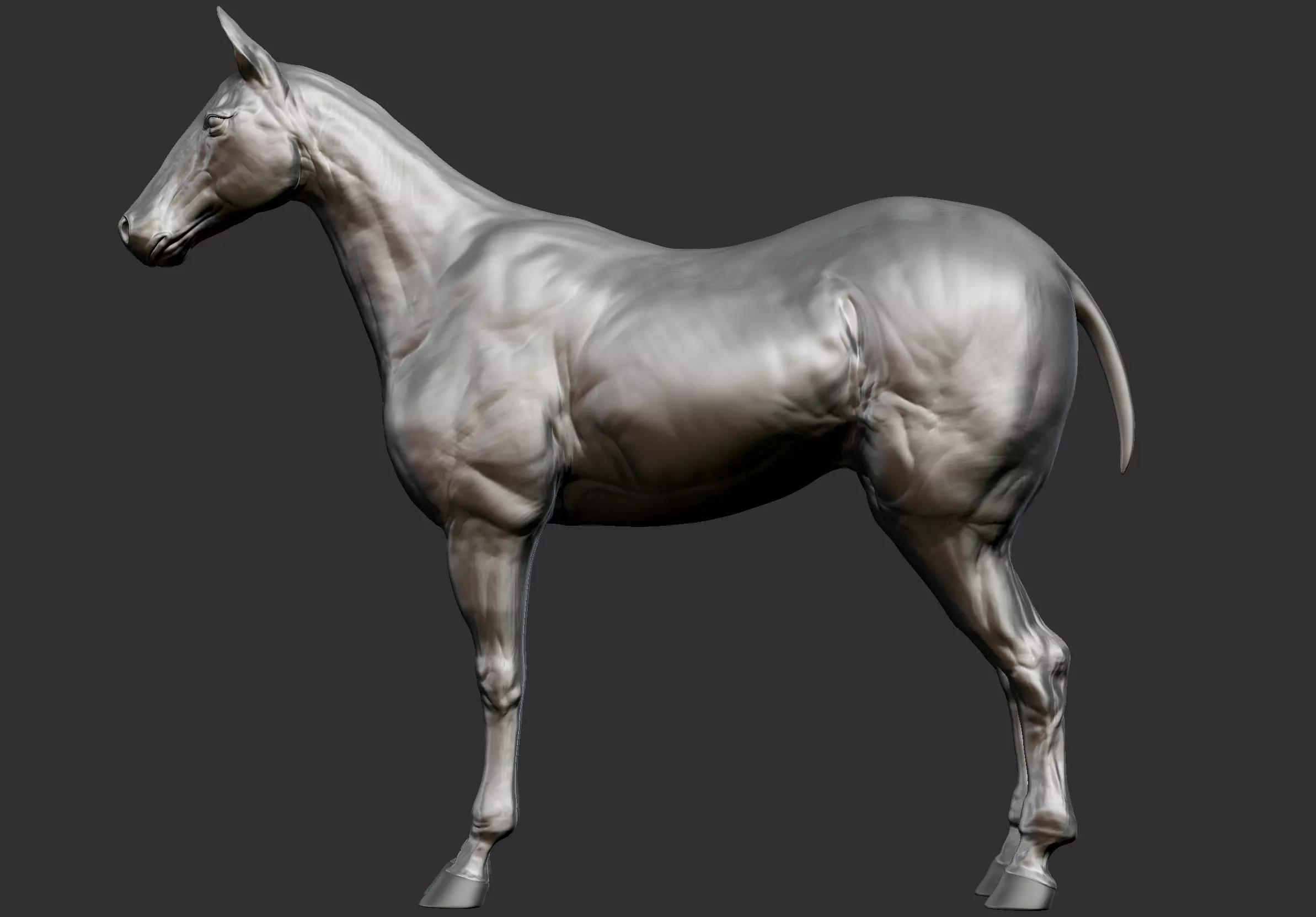 Realistic Horse Hi-Rez base-mesh 3D model 3D model