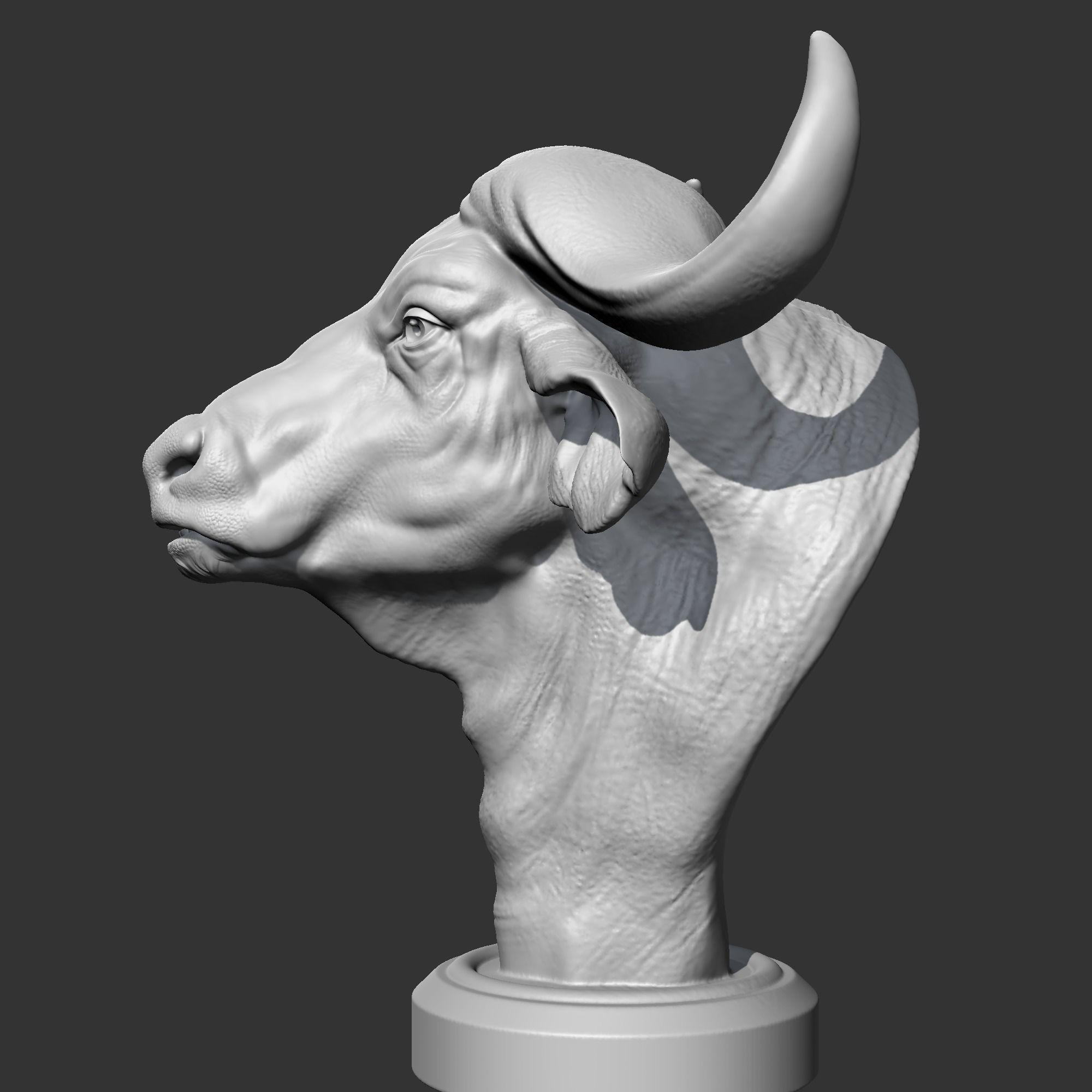 Buffalo Head AM03 3D print model 3D print model_5