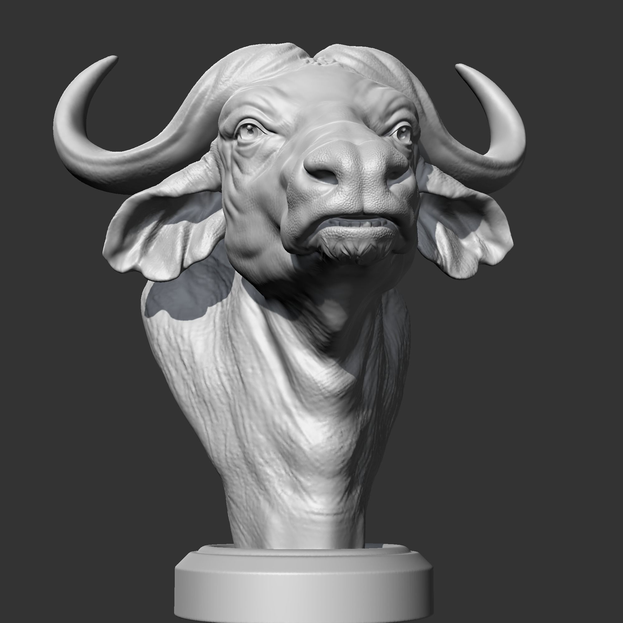 Buffalo Head AM03 3D print model 3D print model_2