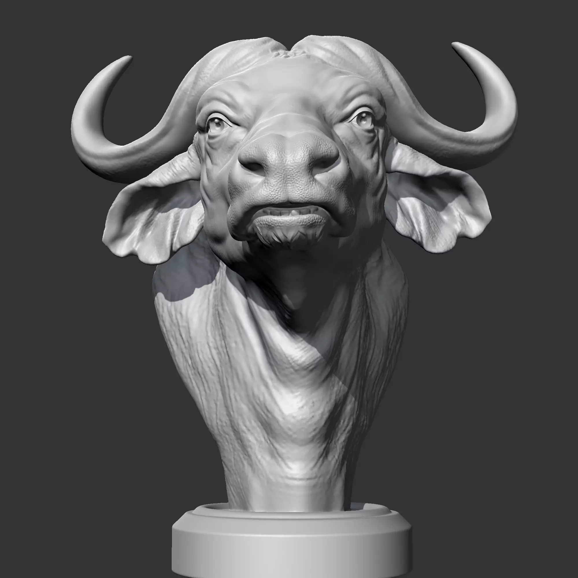 Buffalo Head AM03 3D print model 3D print model_0