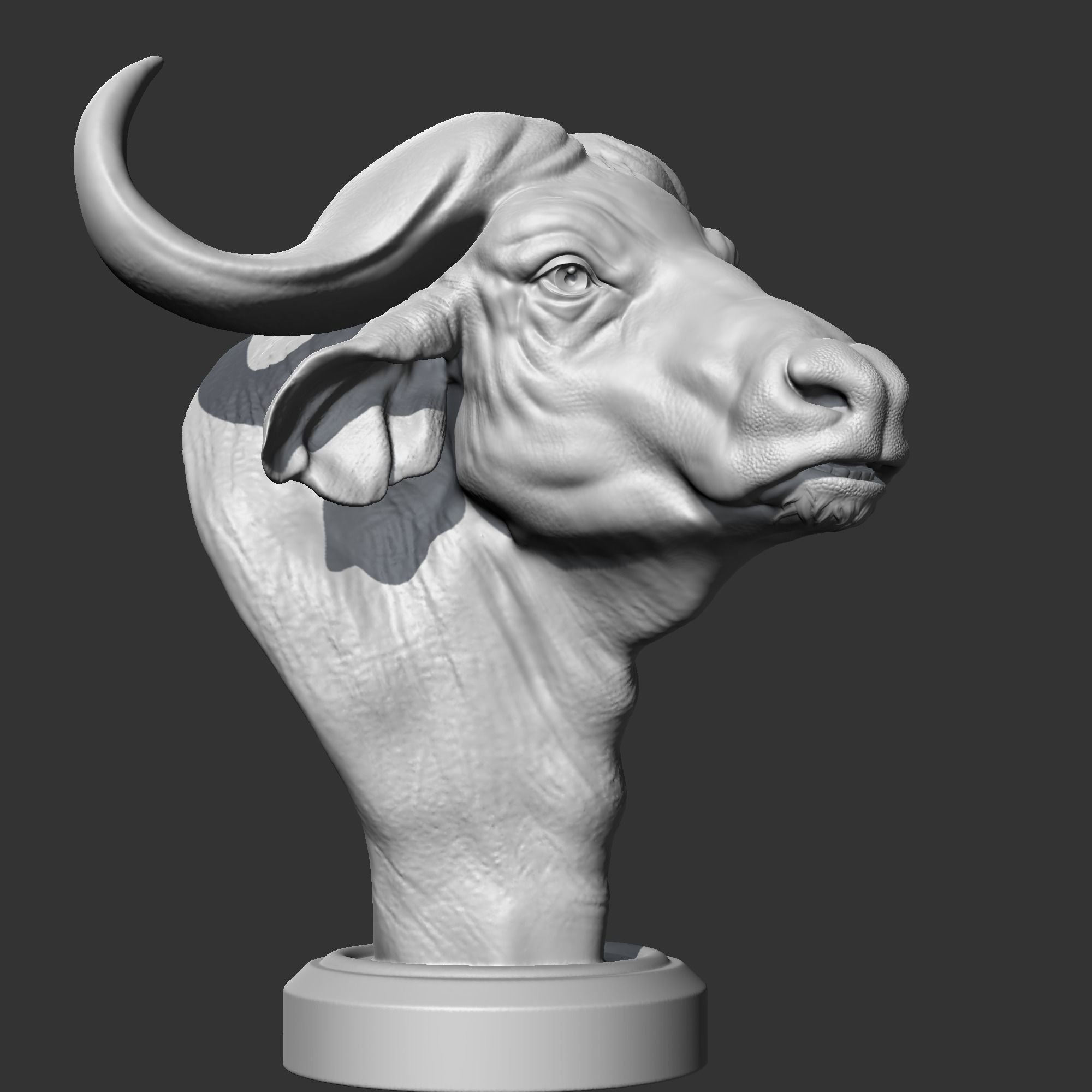 Buffalo Head AM03 3D print model 3D print model_8