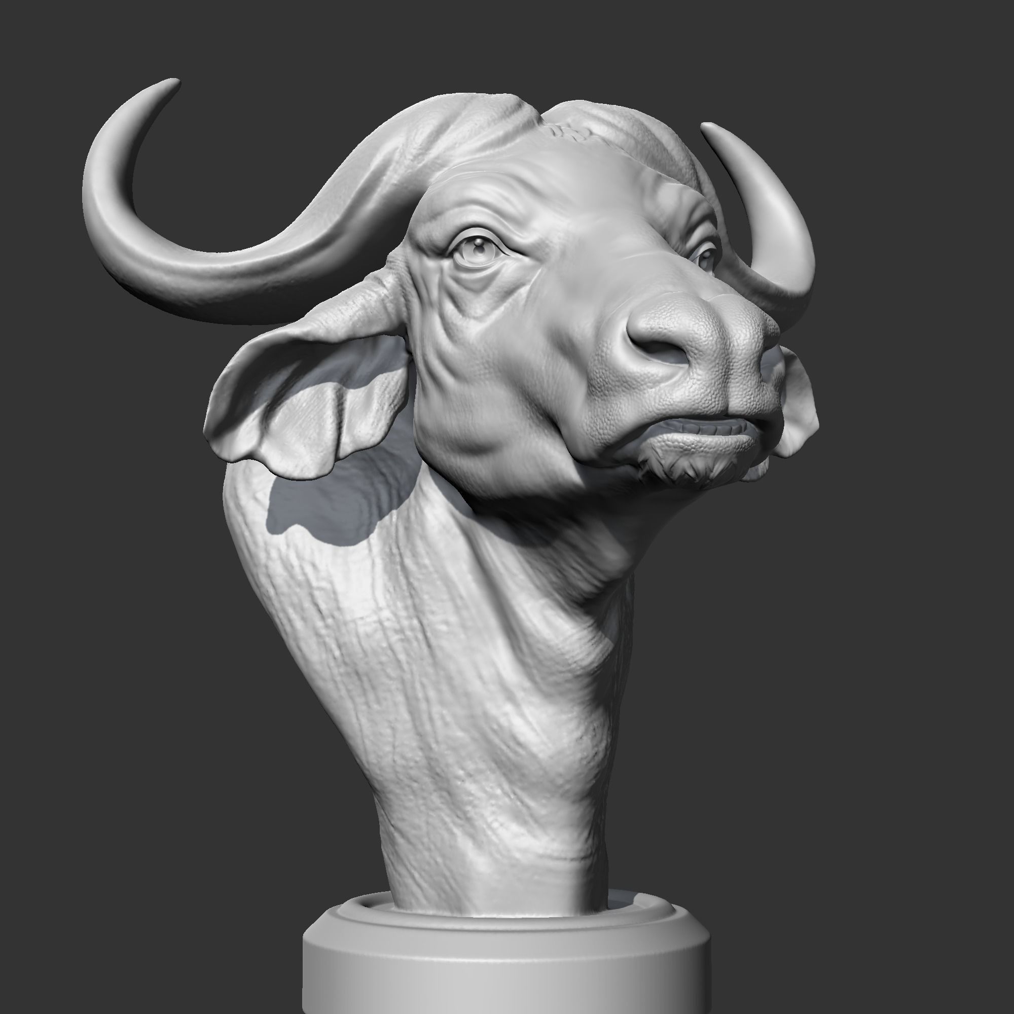Buffalo Head AM03 3D print model 3D print model_9