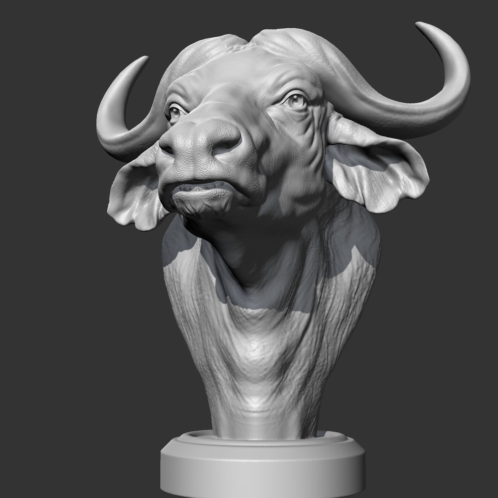 Buffalo Head AM03 3D print model 3D print model_1