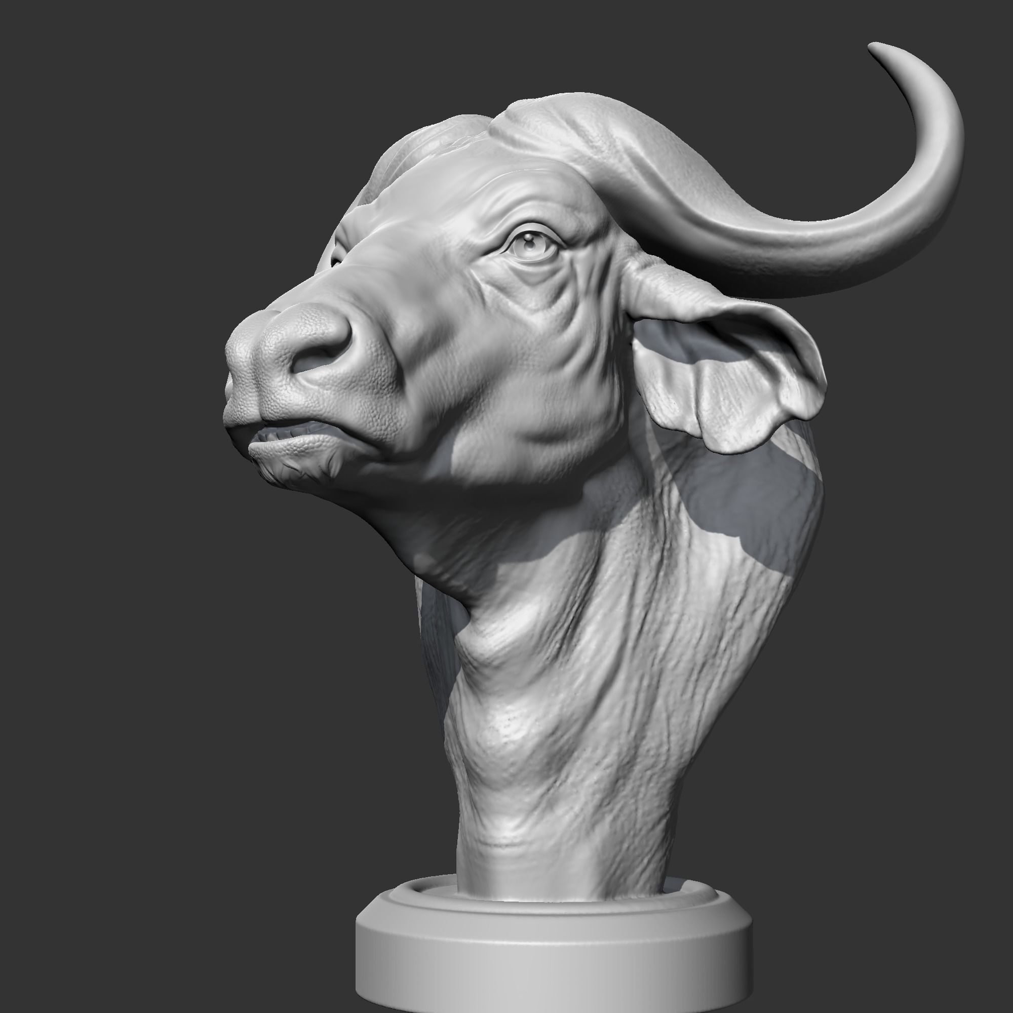Buffalo Head AM03 3D print model 3D print model_3